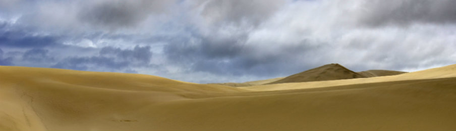 Giant Te Paki, NZ